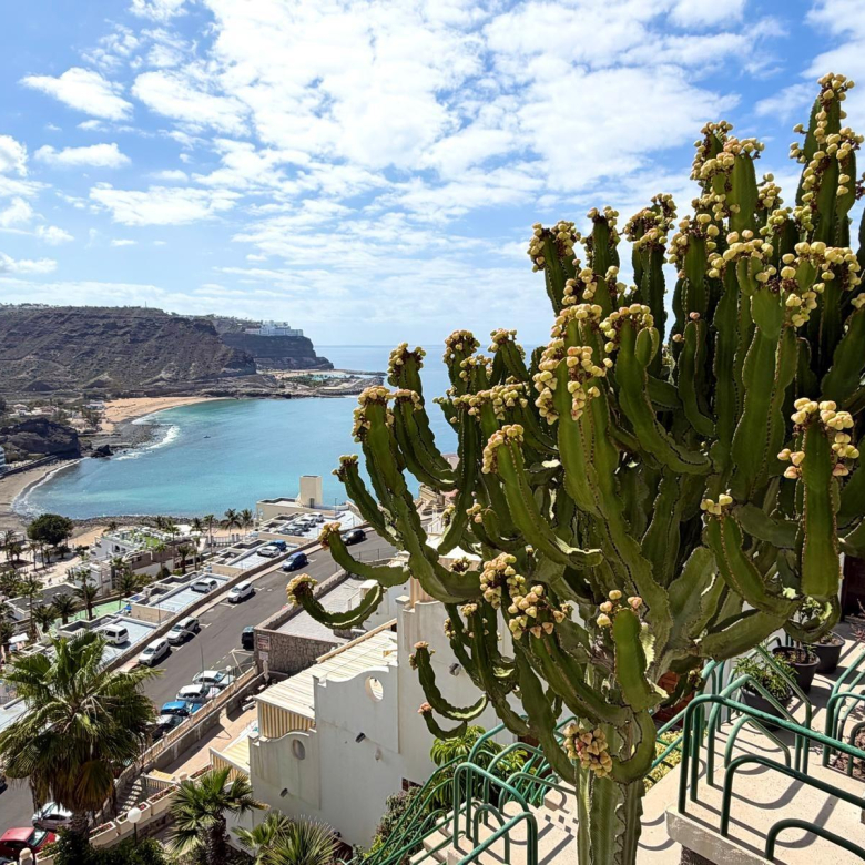 Apartamento con espectaculares vistas al mar sobre Playa del Cura