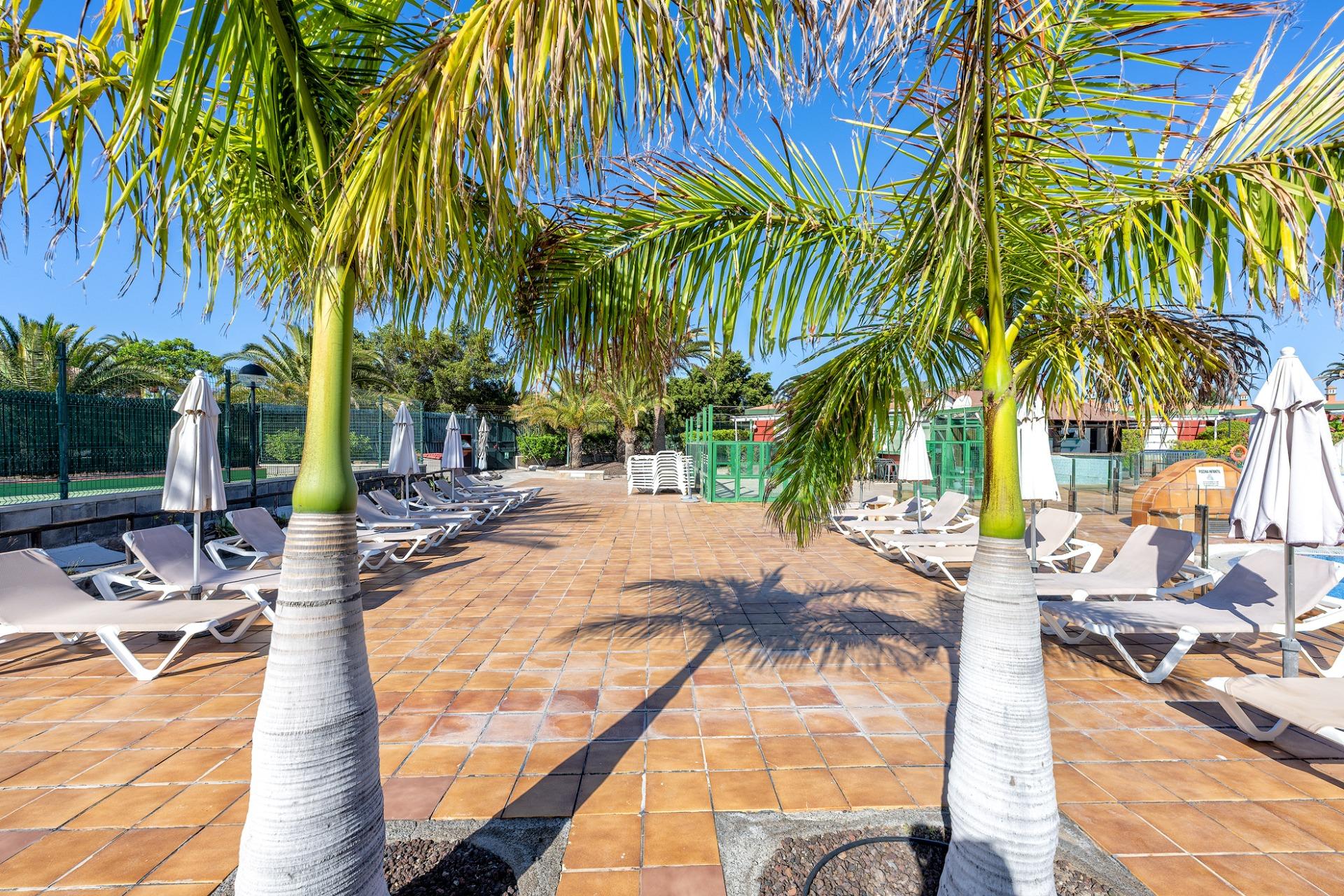 Local con Terraza de 73 m² y Bar junto a Piscina en Verdemar, Maspalomas