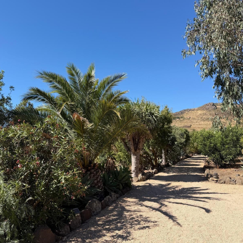 Finca de ensueño con casa rústica y piscina privada cerca de Ingenio