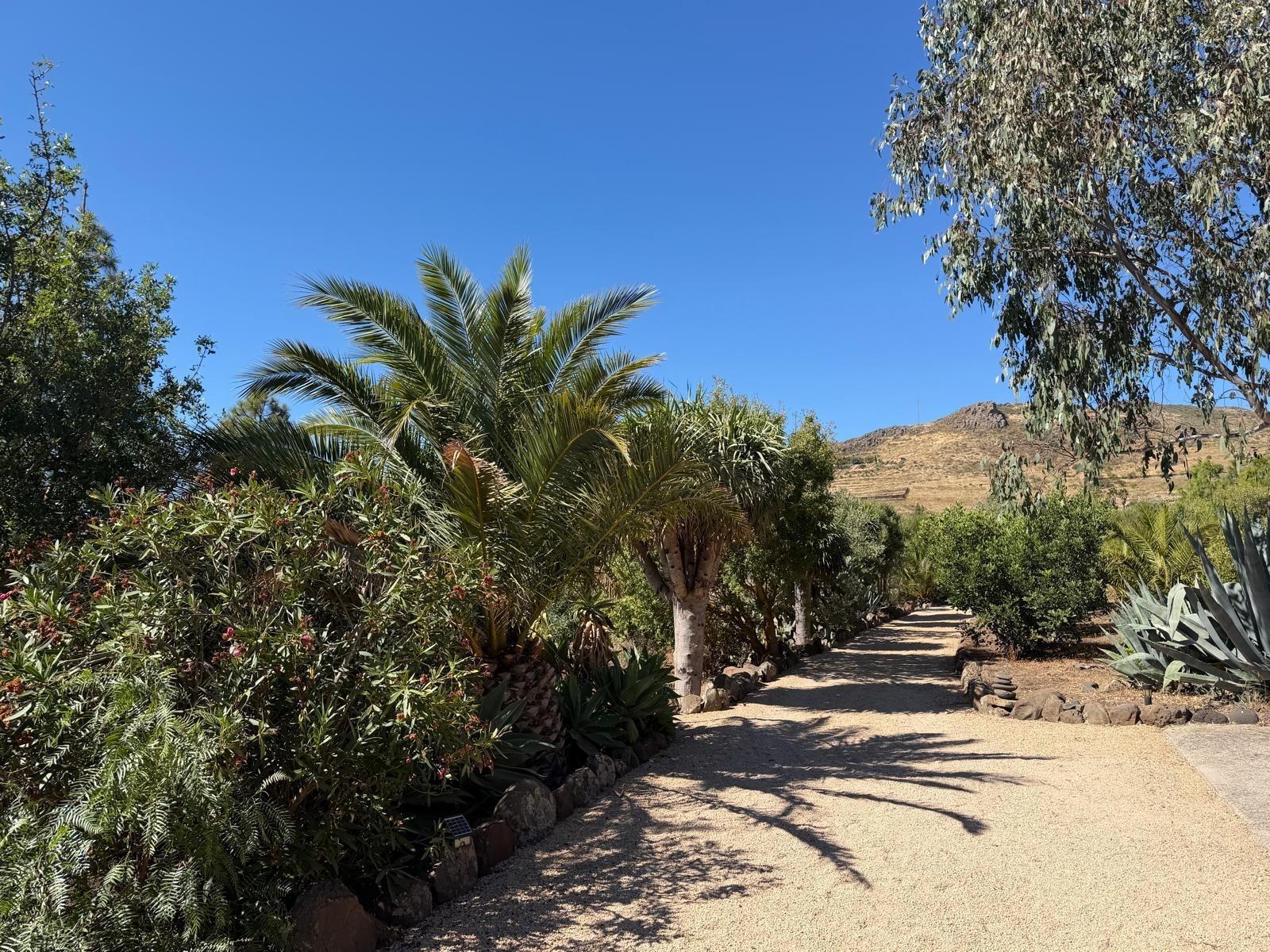 Finca de ensueño con casa rústica y piscina privada cerca de Ingenio