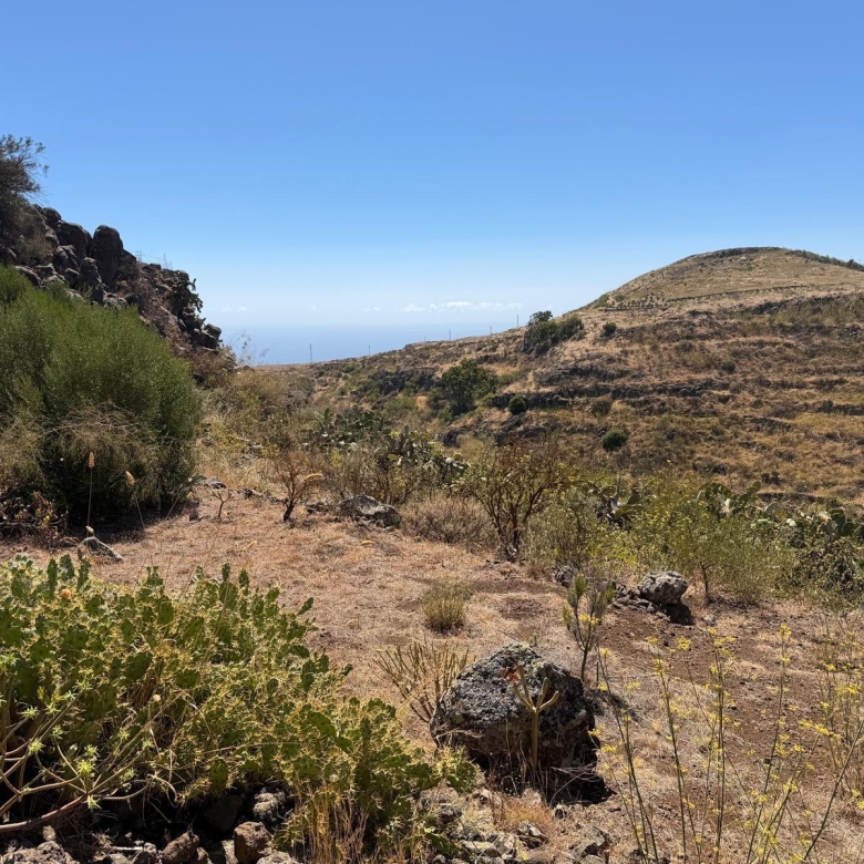 Finca de ensueño con casa rústica y piscina privada cerca de Ingenio
