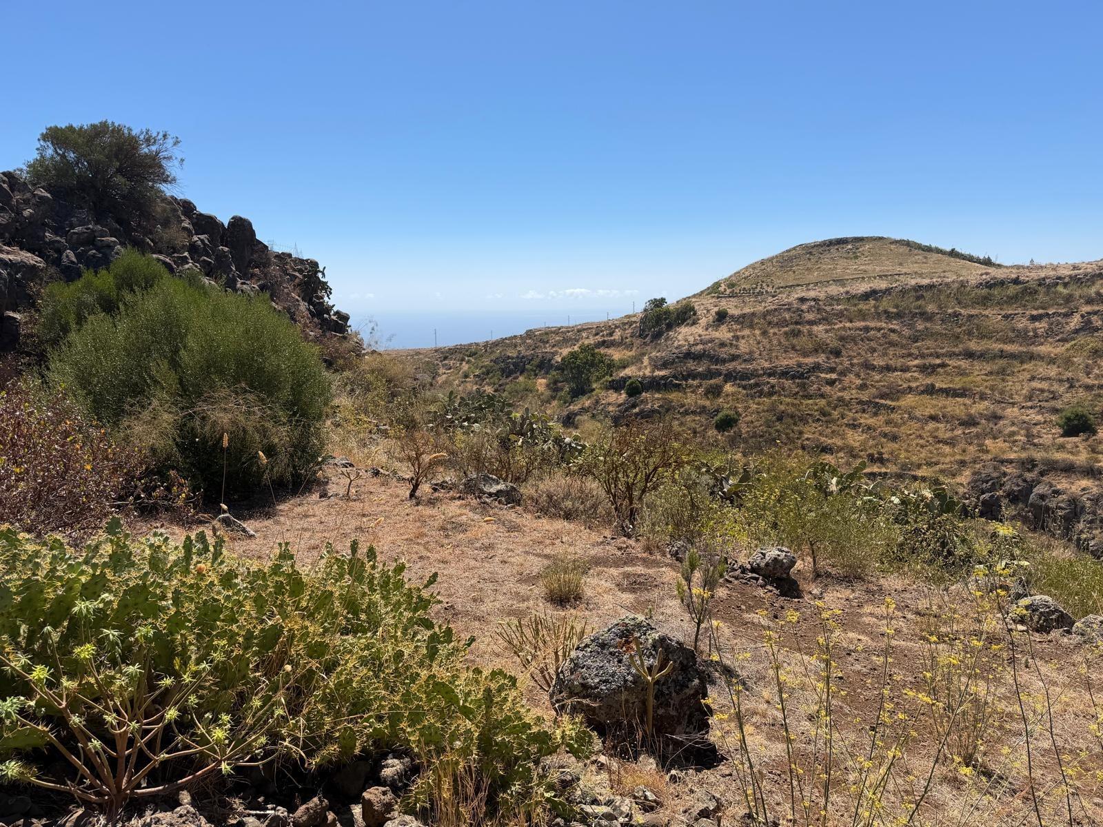Finca de ensueño con casa rústica y piscina privada cerca de Ingenio
