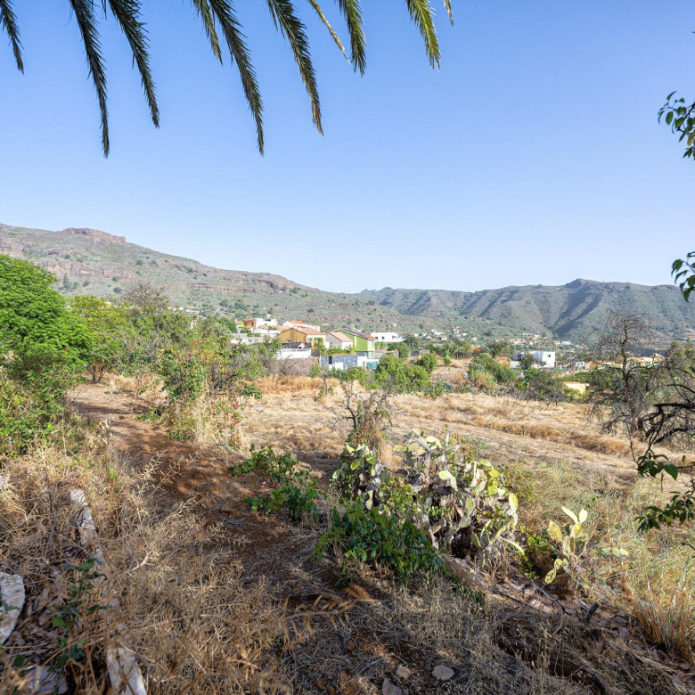Finca vitivinícola con una parcela de 26.000 m², que cuenta actualmente con dos construcciones y ofrece la posibilidad de ampliar la superficie edificable en hasta 500 m² adicionales.