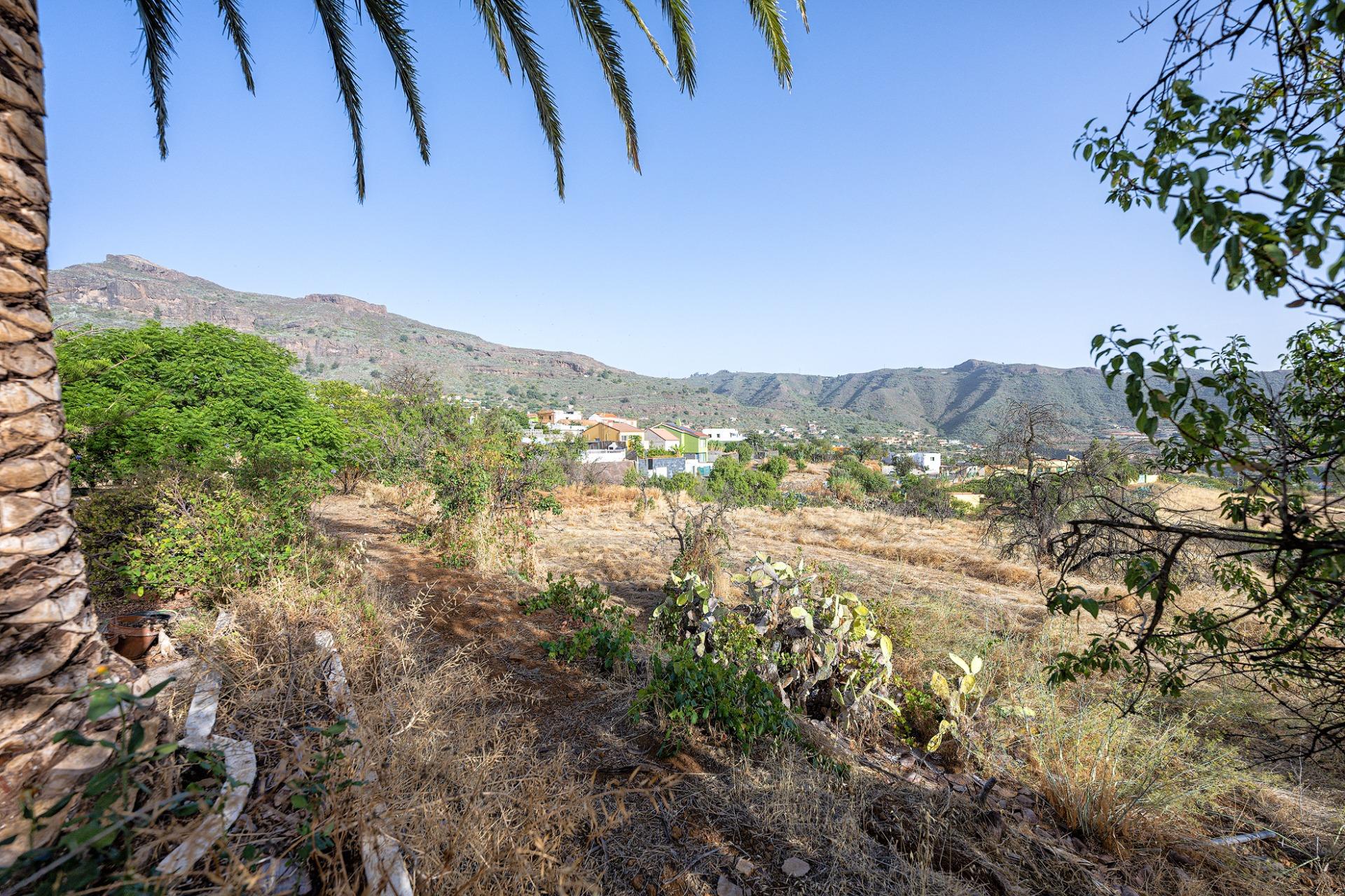 Finca vitivinícola con una parcela de 26.000 m², que cuenta actualmente con dos construcciones y ofrece la posibilidad de ampliar la superficie edificable en hasta 500 m² adicionales.