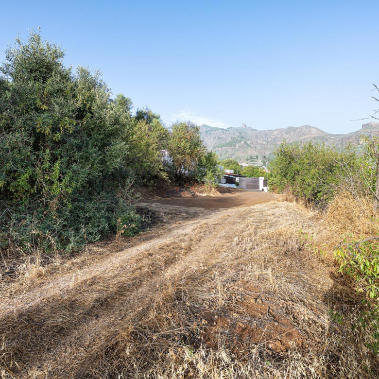Finca vitivinícola con una parcela de 26.000 m², que cuenta actualmente con dos construcciones y ofrece la posibilidad de ampliar la superficie edificable en hasta 500 m² adicionales.
