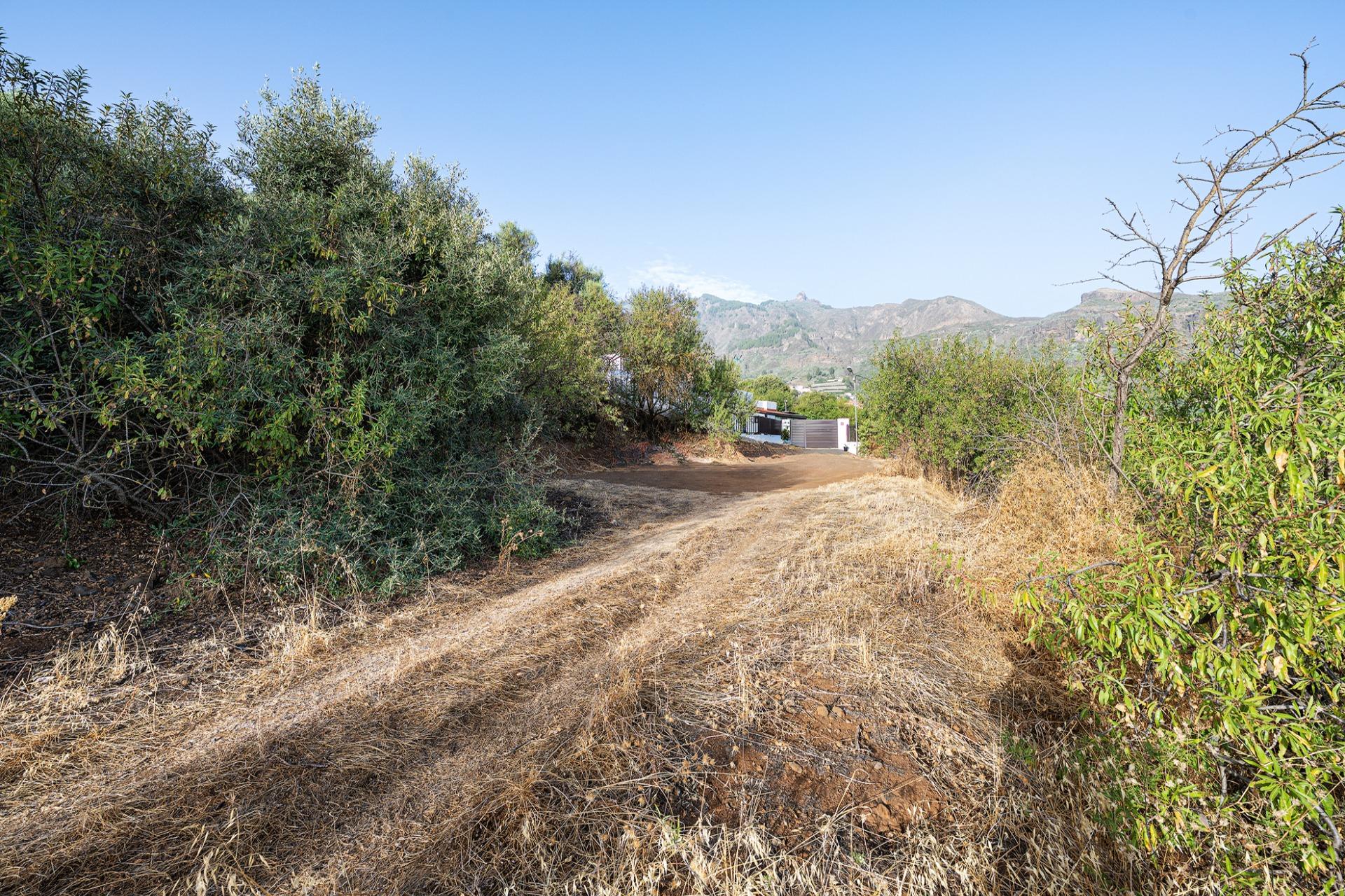 Finca vitivinícola con una parcela de 26.000 m², que cuenta actualmente con dos construcciones y ofrece la posibilidad de ampliar la superficie edificable en hasta 500 m² adicionales.