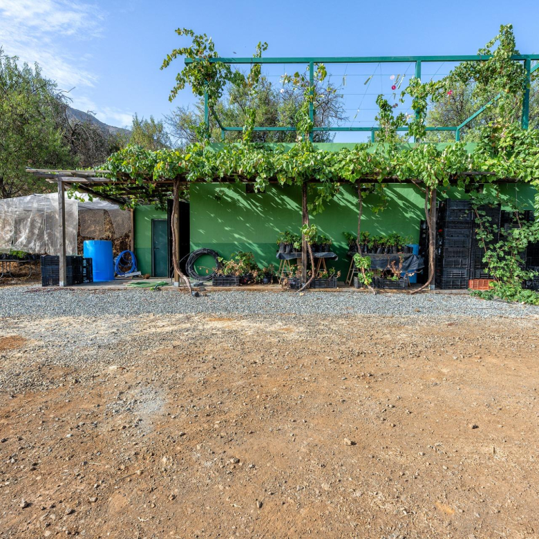 Finca vitivinícola con una parcela de 26.000 m², que cuenta actualmente con dos construcciones y ofrece la posibilidad de ampliar la superficie edificable en hasta 500 m² adicionales.
