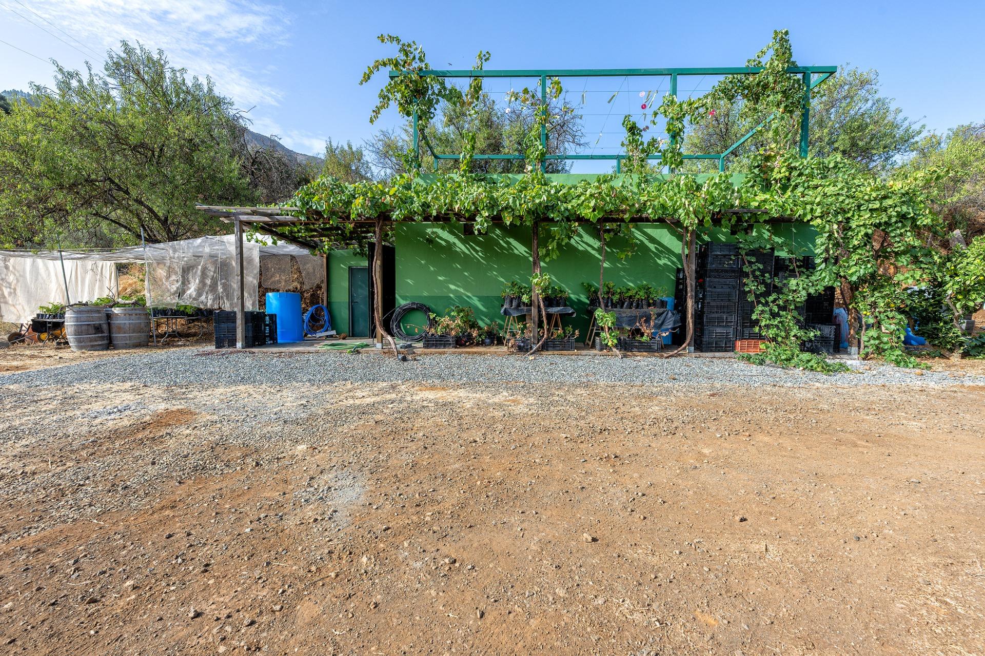 Finca vitivinícola con una parcela de 26.000 m², que cuenta actualmente con dos construcciones y ofrece la posibilidad de ampliar la superficie edificable en hasta 500 m² adicionales.