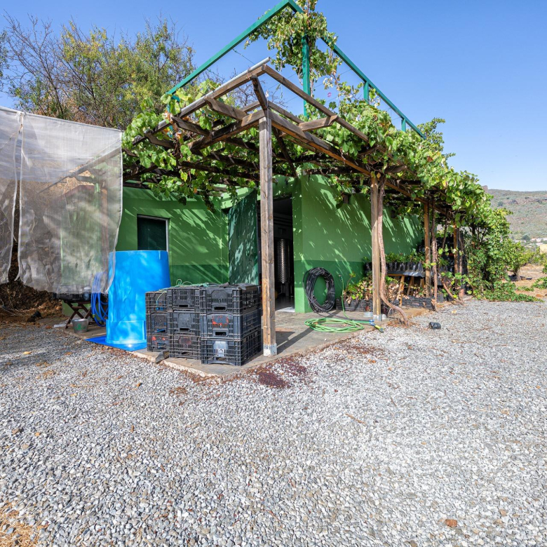 Finca vitivinícola con una parcela de 26.000 m², que cuenta actualmente con dos construcciones y ofrece la posibilidad de ampliar la superficie edificable en hasta 500 m² adicionales.