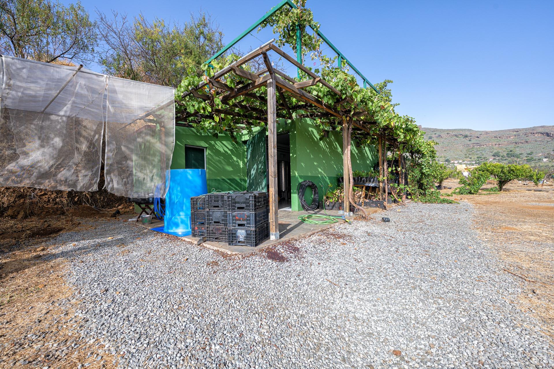 Finca vitivinícola con una parcela de 26.000 m², que cuenta actualmente con dos construcciones y ofrece la posibilidad de ampliar la superficie edificable en hasta 500 m² adicionales.
