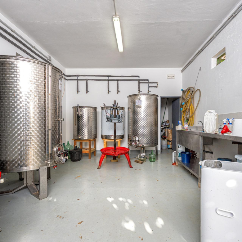 Finca vitivinícola con una parcela de 26.000 m², que cuenta actualmente con dos construcciones y ofrece la posibilidad de ampliar la superficie edificable en hasta 500 m² adicionales.