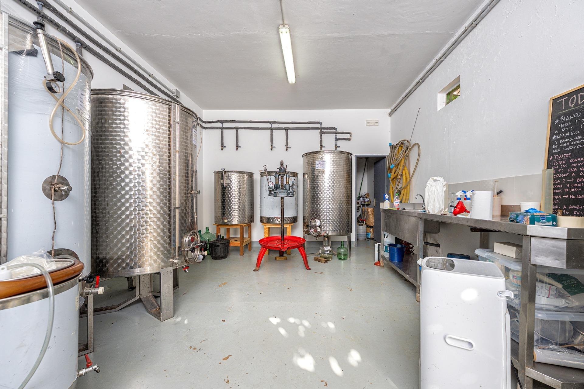 Finca vitivinícola con una parcela de 26.000 m², que cuenta actualmente con dos construcciones y ofrece la posibilidad de ampliar la superficie edificable en hasta 500 m² adicionales.