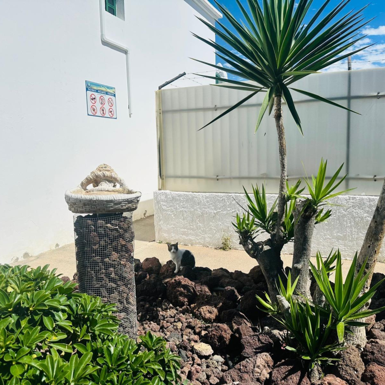 dúplex de 1 dormitorio en alquiler por temporada en El Campo Internacional