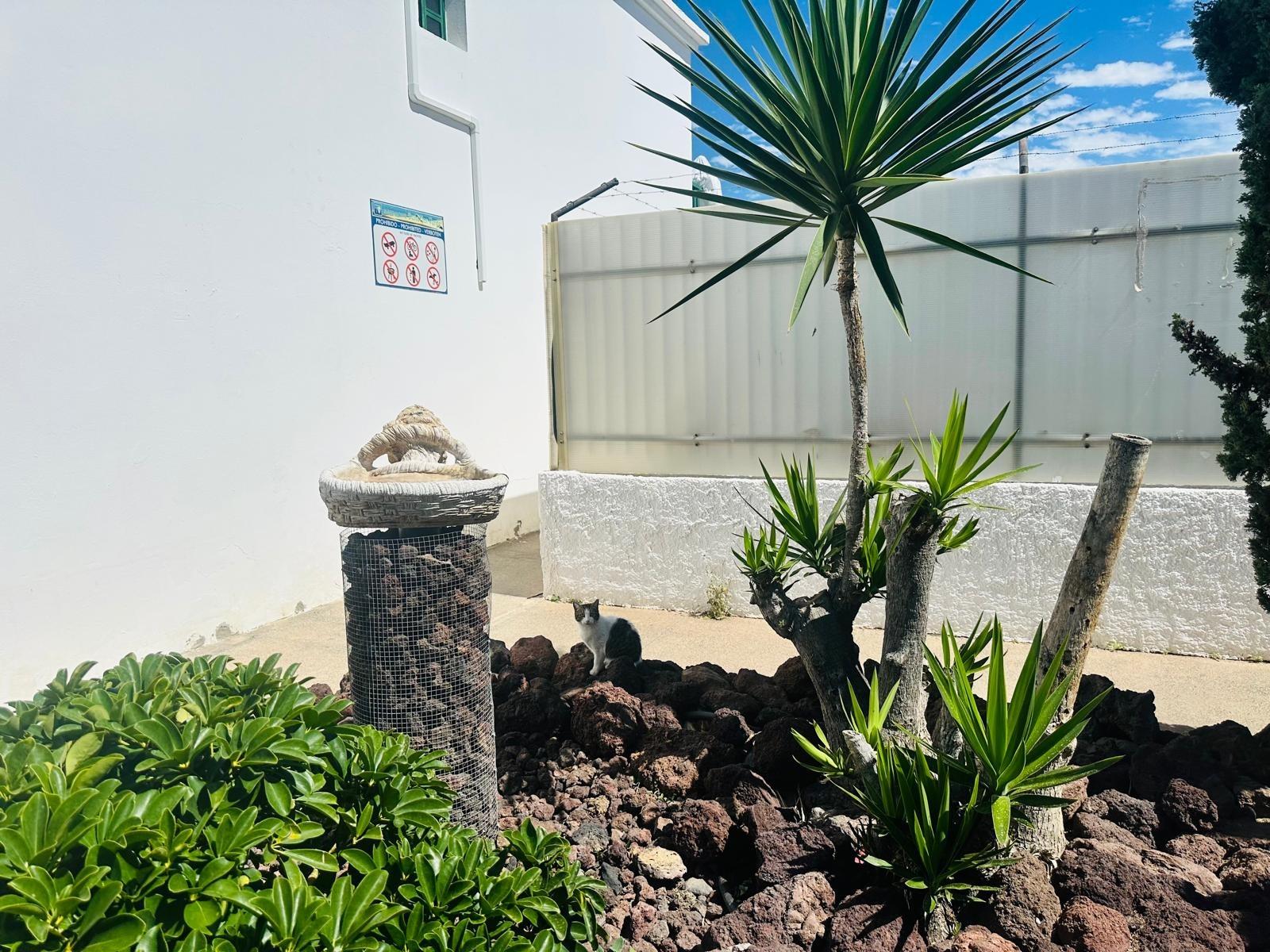 dúplex de 1 dormitorio en alquiler por temporada en El Campo Internacional